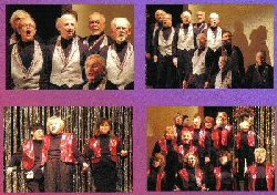 Click Here for Larger View