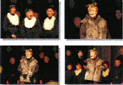 Click Here for Larger View