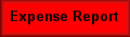 Expense Report